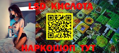 стафф Обь