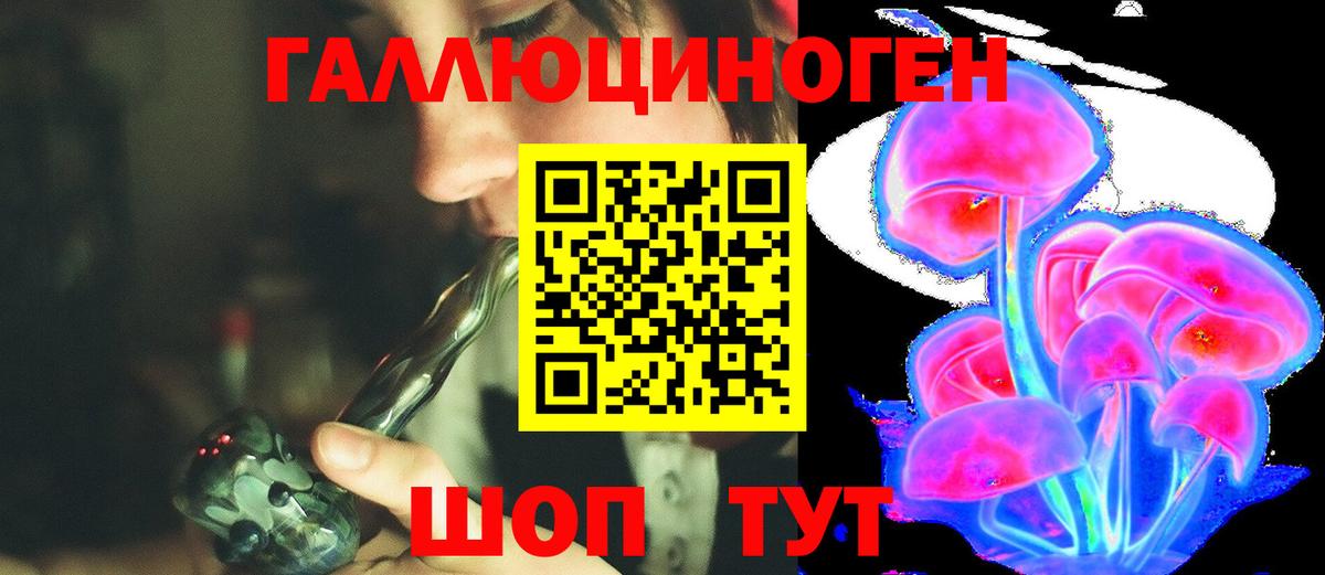 Строитель  Псилоцибиновые грибы Psilocybine cubensis  Вход с VPN  где можно купить   Галлюциногенные грибы прущие грибы 
