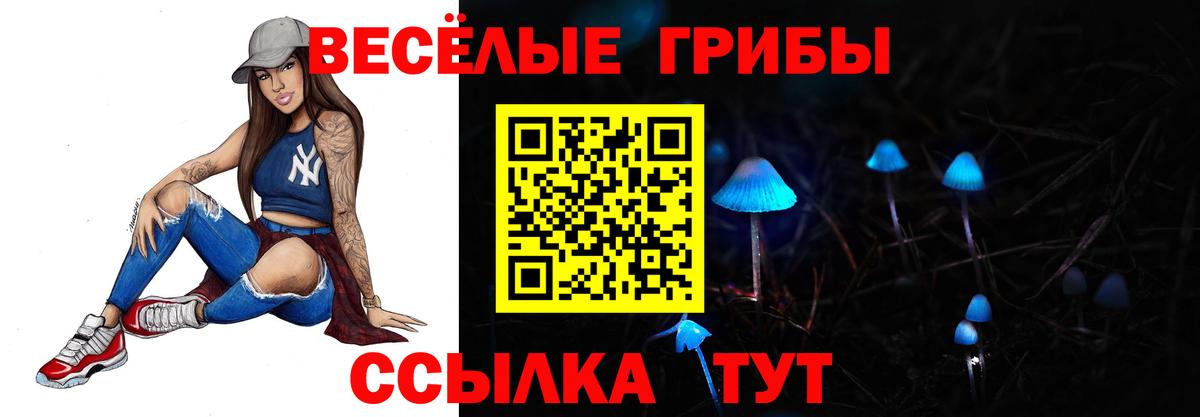 Псилоцибиновые грибы GOLDEN TEACHER Строитель